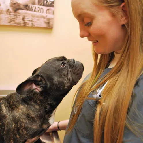  Animal Care Center of Polaris staff member looking at a dog that's looking at her